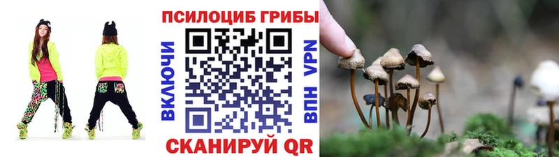 Галлюциногенные грибы Cubensis  Агрыз 